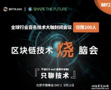 ［币看峰会］不谈谁是中本聪，全球百名技术大咖烧